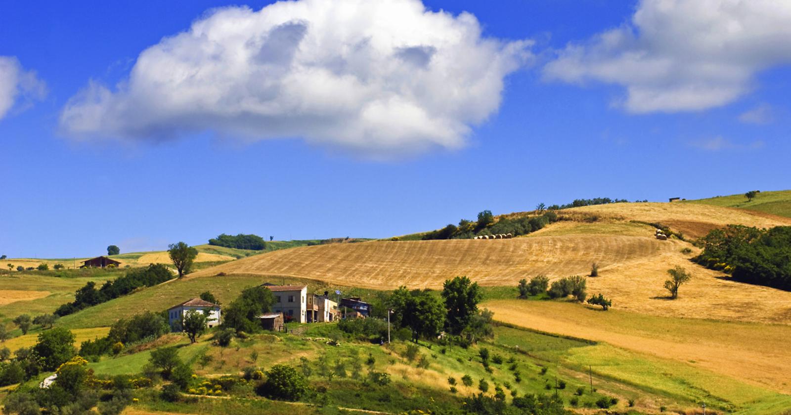 Agrimolitour: Un Viaggio tra Tradizione e Innovazione negli Istituti Agrari Molisani
