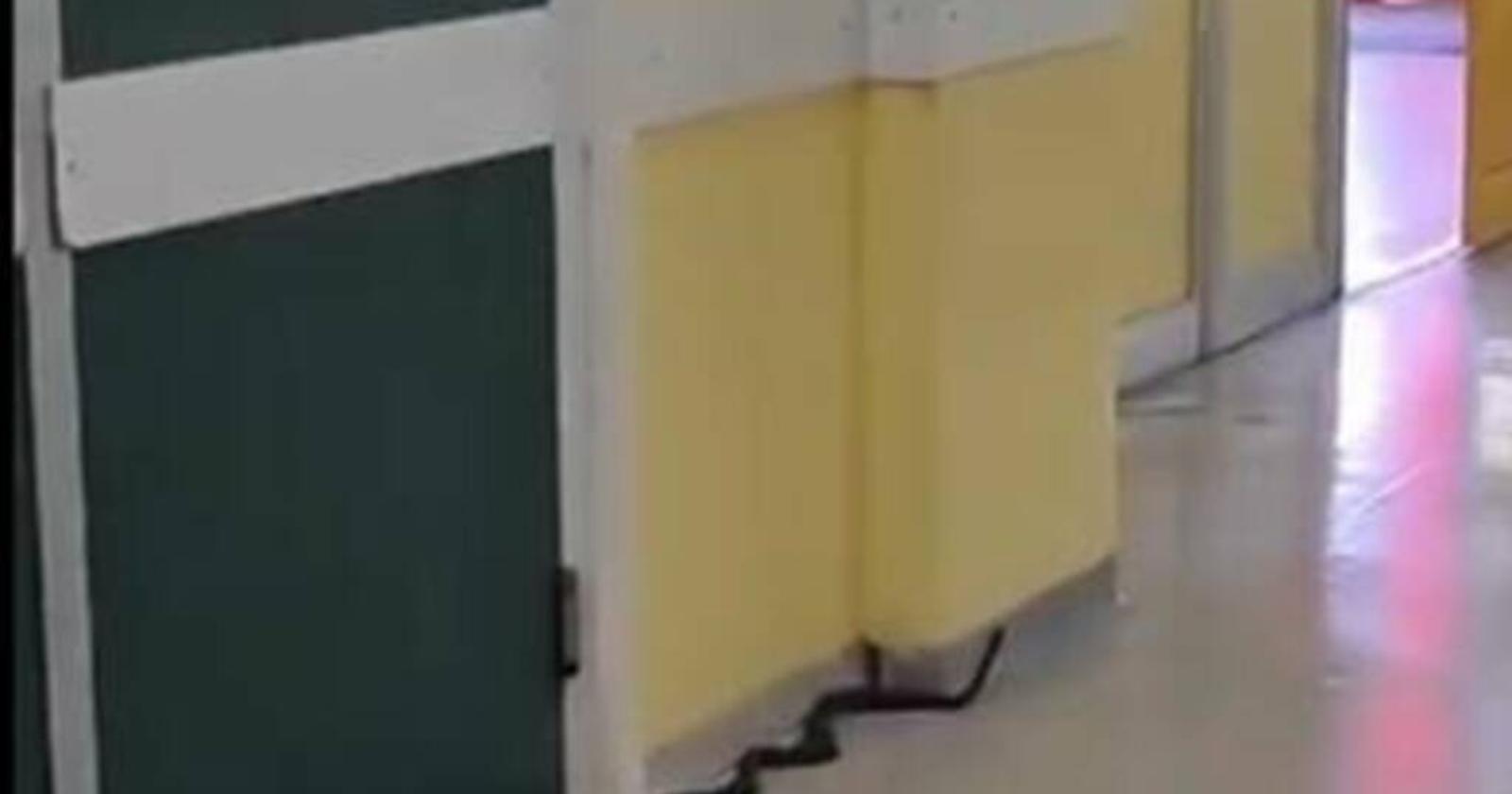 Panico in Pronto Soccorso: Un Serpente Nero Sconvolge l'Ospedale di Termoli