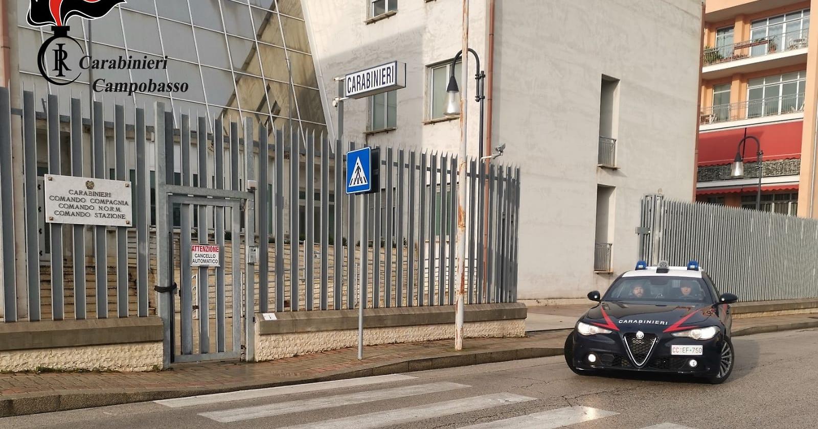 I Carabinieri mettono in gabbia due topi di appartamento a Petacciato