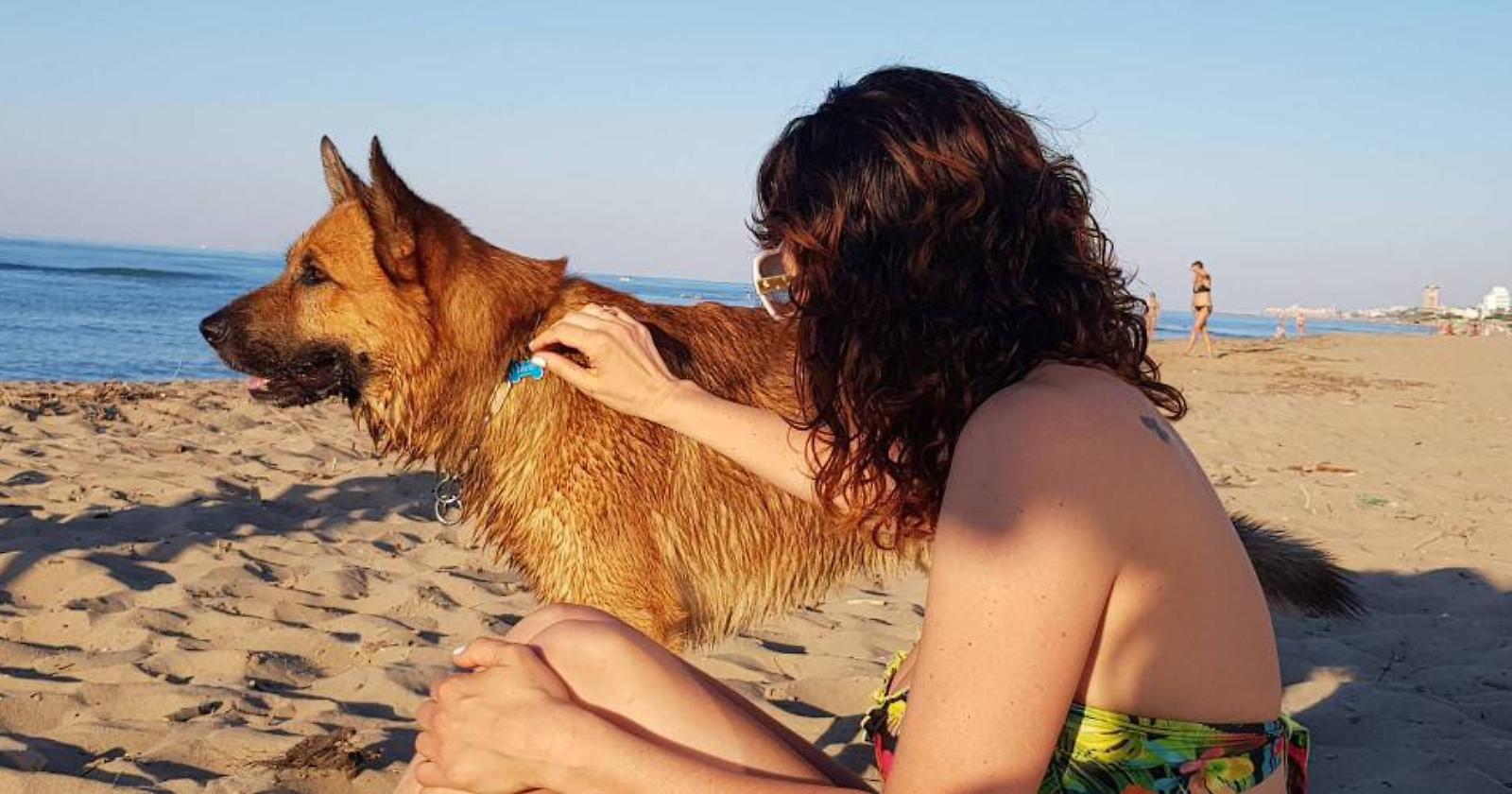 In Molise più cani che cristiani, ma l'Asrem non risponde alla ricerca di Legambiente 