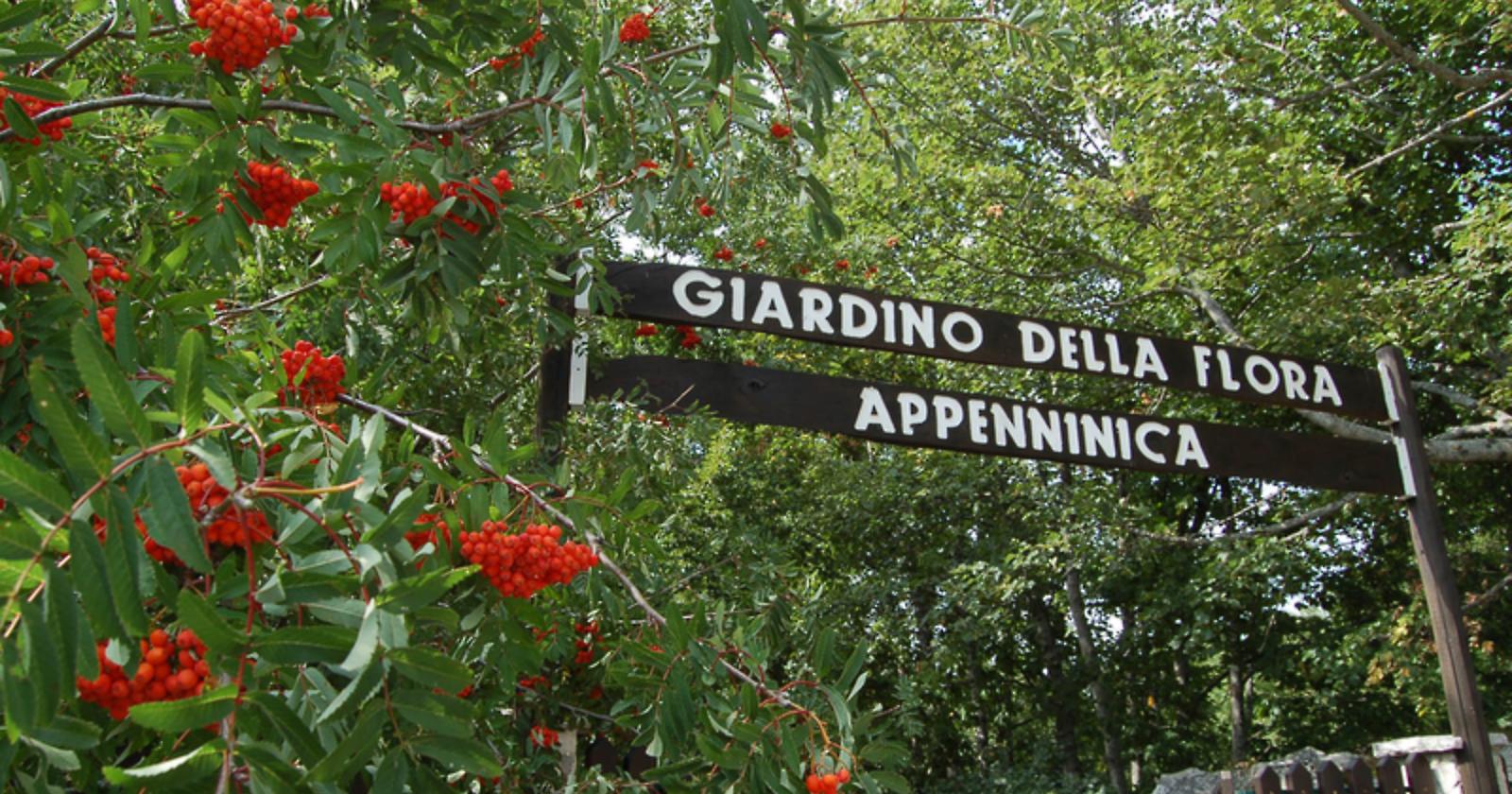 Il giardino di Capracotta profuma delle opere di Brian Collier