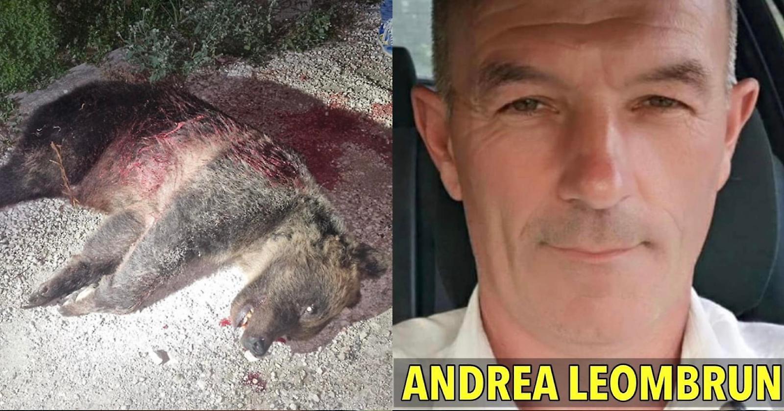 Inizia il processo a Andrea Leombruni, il cacciatore che in Abruzzo assassinò orsa Amarena