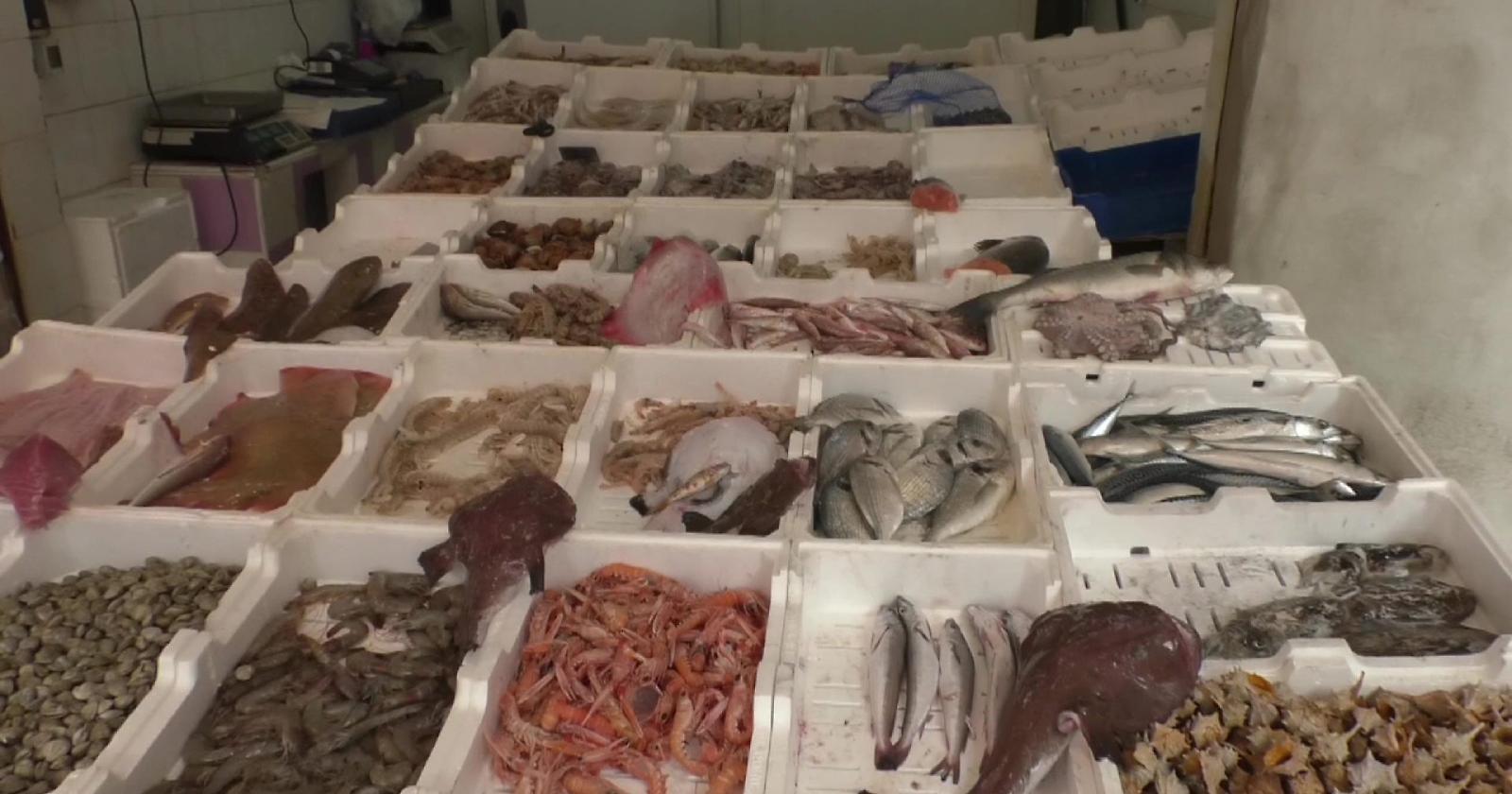 A Termoli niente pesce... d'aprile: per evitare scherzi la qualità della pesca viene tracciata con QR code