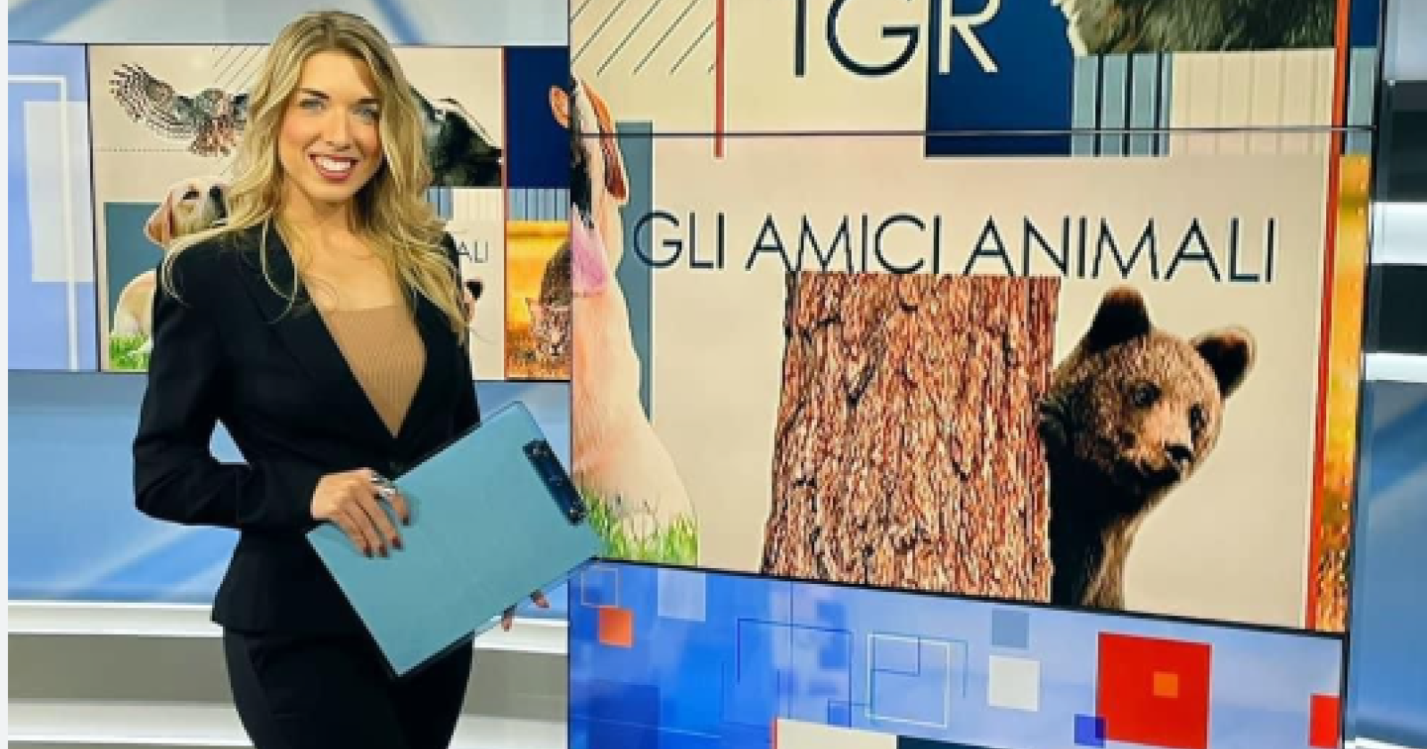 "Amici animali" alla scoperta dell'oasi di Guardiaregia, tra farfalle, cervi, lupi e l'unica salamandra di tutto l'Appennino