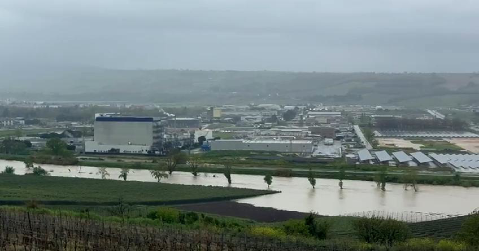 alluvione a Termoli, imprese del nucleo industriale ferme: consegne a rischio e ripartenza in salita