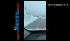 Il Molise liberato dai bisonti spazzaneve