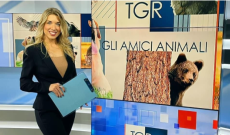 "Amici animali" alla scoperta dell'oasi di Guardiaregia, tra farfalle, cervi, lupi e l'unica salamandra di tutto l'Appennino