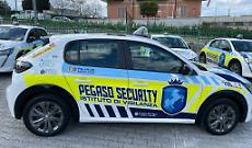 Vigilantes del Consiglio regionale del Molise senza stipendi