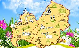 Buon compleanno, Molise