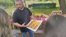 Le api regine di Campomarino