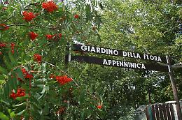 Il giardino di Capracotta profuma delle opere di Brian Collier