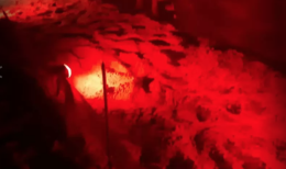Spettacolo della vita a Petacciato: 49 tartarughe appena nate nella notte alla conquista del mare