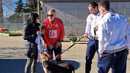 Dai giocatori del Campobasso un calcio contro l'abbandono degli animali