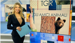 "Amici animali" alla scoperta dell'oasi di Guardiaregia, tra farfalle, cervi, lupi e l'unica salamandra di tutto l'Appennino