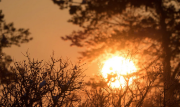 Solstizio d&rsquo;inverno, perch&eacute; il 21 dicembre il sole si "ferma"