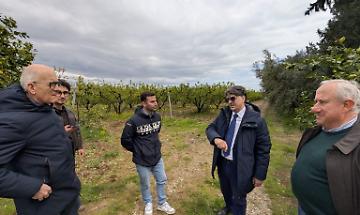 Maltempo nel Metapontino, Cicala sul posto: &ldquo;Attivati tutti gli strumenti per aiutare le aziende&rdquo;